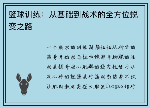 篮球训练：从基础到战术的全方位蜕变之路