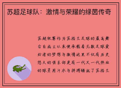 苏超足球队：激情与荣耀的绿茵传奇